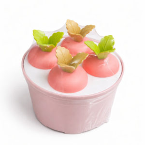 4 PCS Kids Ice Cream Popsicle Mold Set